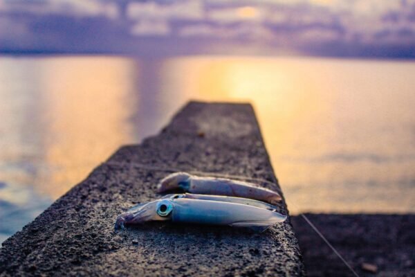 Tintenfisch auf Mauer