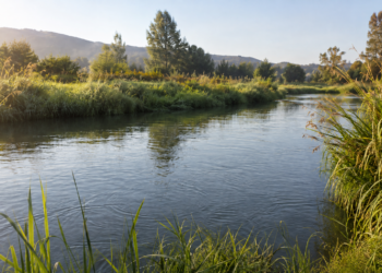 Am Fluss angeln: Die besten Plätze, Montagen und Tipps