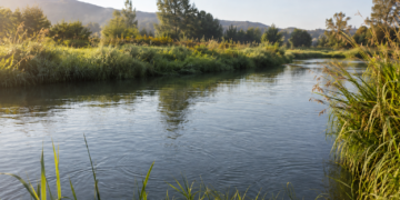 Am Fluss angeln: Die besten Plätze, Montagen und Tipps