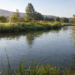 Am Fluss angeln: Die besten Plätze, Montagen und Tipps