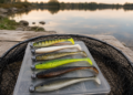 Verschiedene Gummifische für Zander mit Jigköpfen auf einer Tacklebox am See