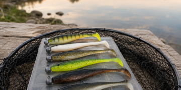 Verschiedene Gummifische für Zander mit Jigköpfen auf einer Tacklebox am See