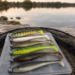 Verschiedene Gummifische für Zander mit Jigköpfen auf einer Tacklebox am See