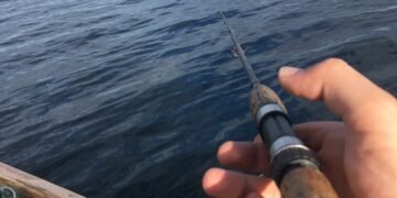 Fischen am Bodensee: Fischarten, Angelplätze und wichtige Tipps