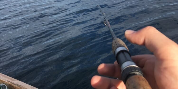 Fischen am Bodensee: Fischarten, Angelplätze und wichtige Tipps
