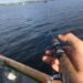Fischen am Bodensee: Fischarten, Angelplätze und wichtige Tipps
