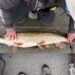 Angler misst einen großen Hecht auf einer Messmatte im Boot