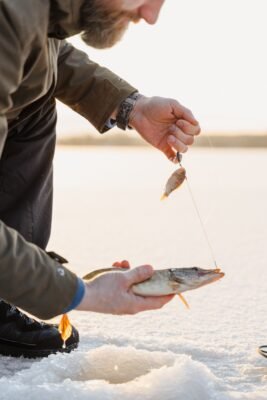 Angler präsentiert einen Köderfisch über einem gefangenen Hecht auf dem Eis und zeigt eine bewährte Methode für das Hecht- und Zanderangeln im Winter.