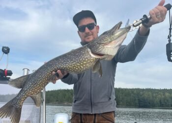 Angler präsentiert einen großen Hecht auf einem Angelboot