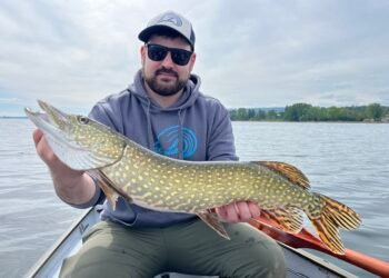 Angler präsentiert einen großen gefangenen Hecht in einem Boot auf dem See