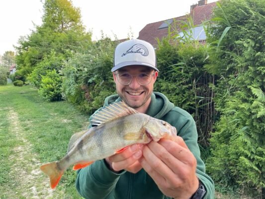 Angler präsentiert einen gefangenen Barsch mit aufgestellter Rückenflosse
