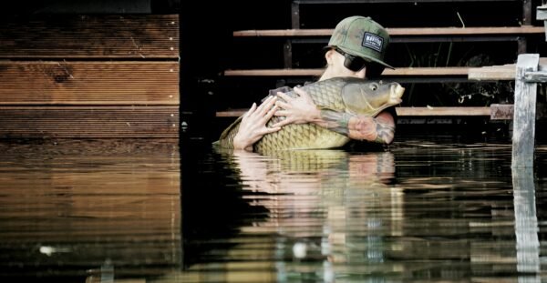 Angler hält einen großen Karpfen im flachen Wasser neben einem Holzsteg