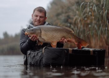 Angler präsentiert einen großen Karpfen beim Angeln mit Karpfenködern