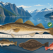 Illustrierter Dorsch auf einem Maßbrett vor einem norwegischen Fjord