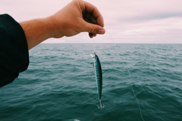 Angler hält einen blau-silbernen Minnow-Wobbler über dem Meer