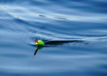 Fließgewässer-Pose: Auswahl, Montage und Köderführung im Fluss