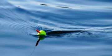 Fließgewässer-Pose: Auswahl, Montage und Köderführung im Fluss