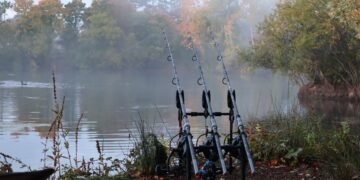 Drei Angelruten stehen beim Ansitzangeln in einem Rutenhalter am nebligen See