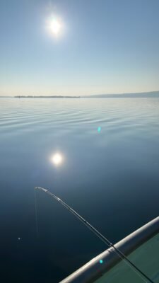 Zwei feine Rutenspitzen ragen bei Sonnenschein über einen ruhigen See