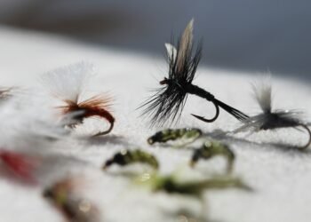 Hegene kaufen: 5 Systeme und Tipps für das Felchenangeln