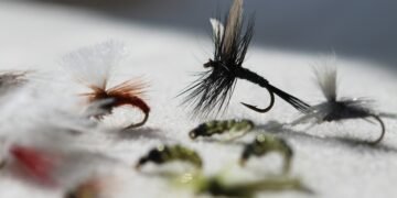 Hegene kaufen: 5 Systeme und Tipps für das Felchenangeln