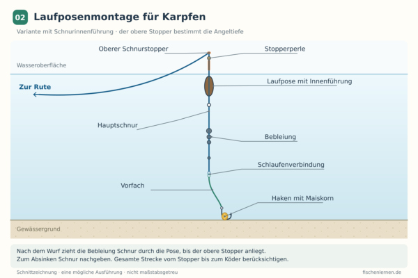 Laufposenmontage für Karpfen mit oberem Schnurstopper, Stopperperle, Bebleiung und Maiskorn am Hakenvorfach.
