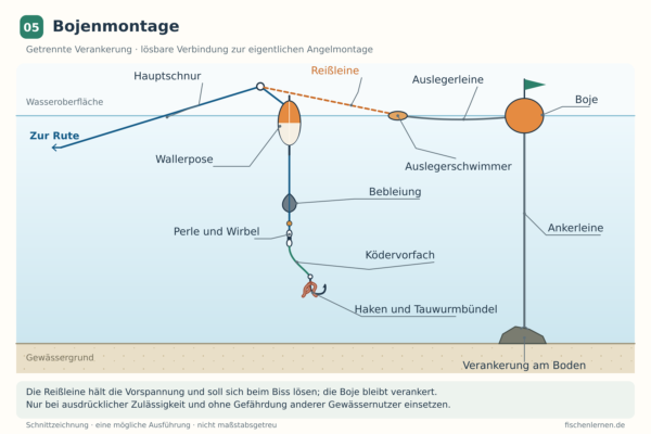 Schema einer Bojenmontage mit verankerter Boje, Auslegerleine, Reißleine und separater Posenmontage mit Tauwurmbündel.
