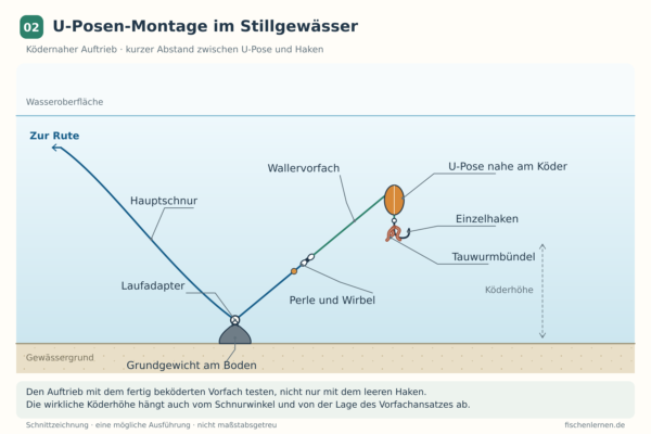 Schema einer Wallermontage mit Grundgewicht und ködernaher Unterwasserpose, die ein Tauwurmbündel über dem Boden hält.