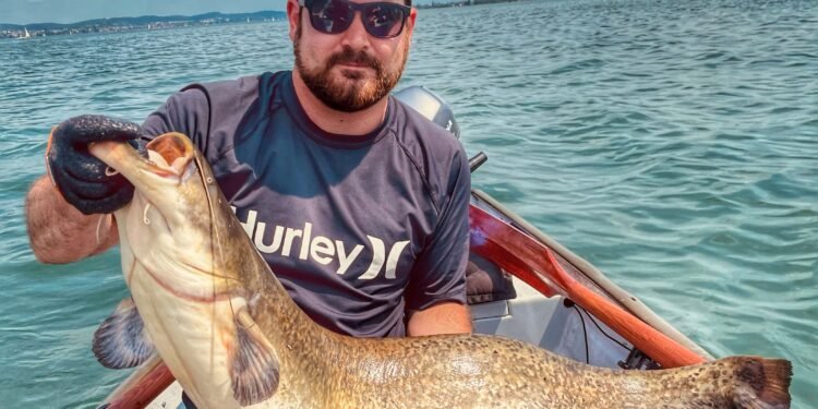 Angler hält einen großen, selbst gefangenen Wels mit beiden Händen auf einem Boot.